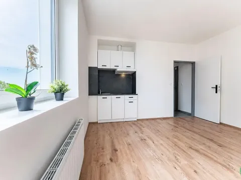 Pronájem bytu 1+kk, Praha - Břevnov, Na břevnovské pláni, 22 m2