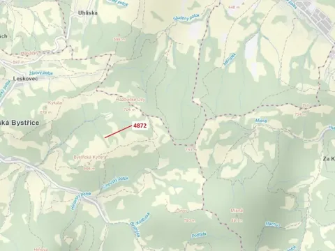 Dražba pozemku, Valašská Bystřice, 22 m2