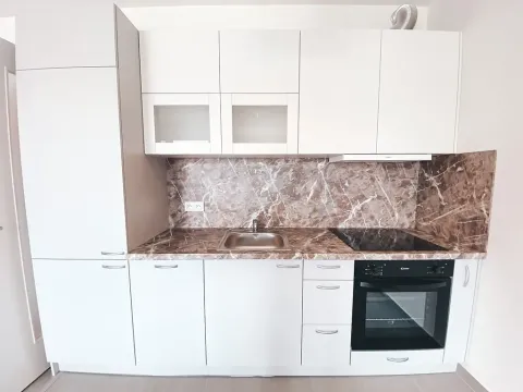 Pronájem bytu 1+kk, Praha - Žižkov, Olgy Havlové, 45 m2