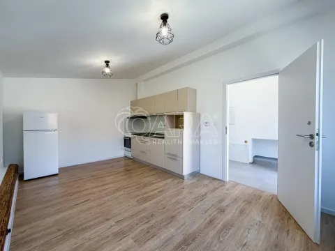 Pronájem bytu 1+kk, Křížkový Újezdec - Čenětice, 23 m2