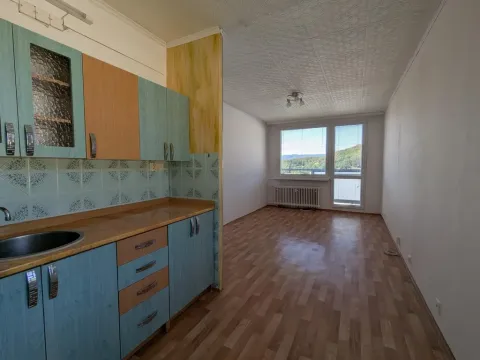 Pronájem bytu 2+kk, Litvínov - Horní Litvínov, Valdštejnská, 50 m2