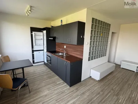 Pronájem bytu 1+1, Most, Javorová, 35 m2