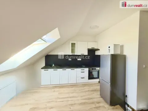 Pronájem bytu 1+kk, Chabařovice, V Aleji, 50 m2