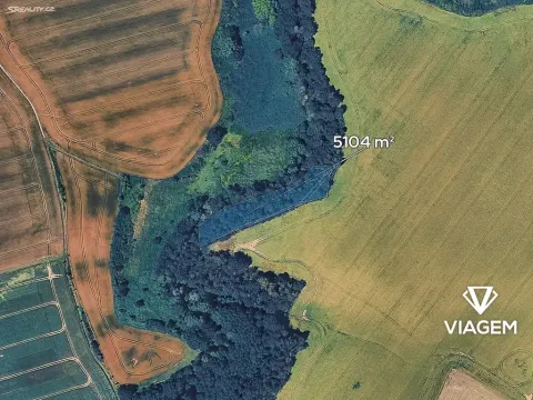 Prodej zahrady, Královice, 5104 m2