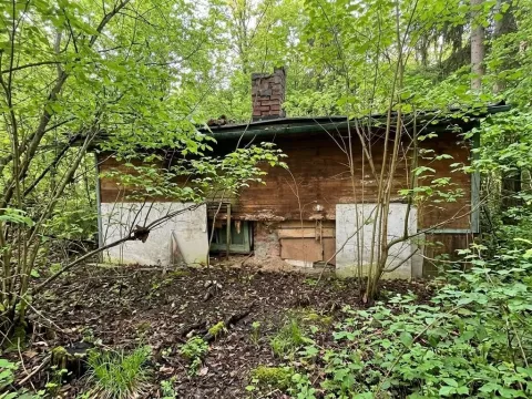 Prodej lesa, Štíty, 373 m2