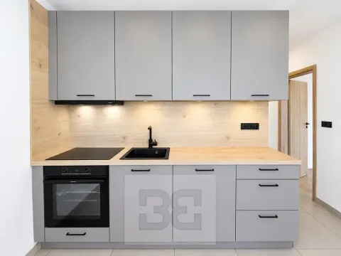 Pronájem bytu 2+1, Brno, Lipská, 55 m2