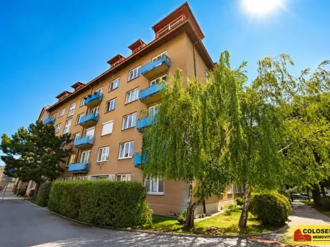 Prodej bytu 2+1, Brno, Křížkovského, 65 m2