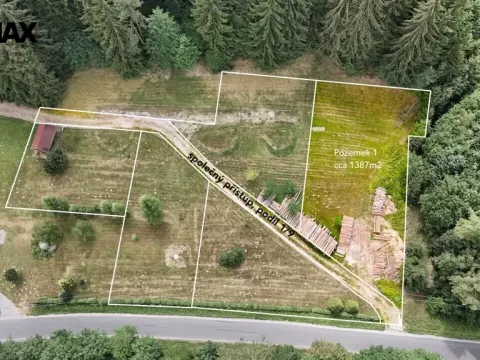 Prodej pozemku pro bydlení, Borušov, 1387 m2