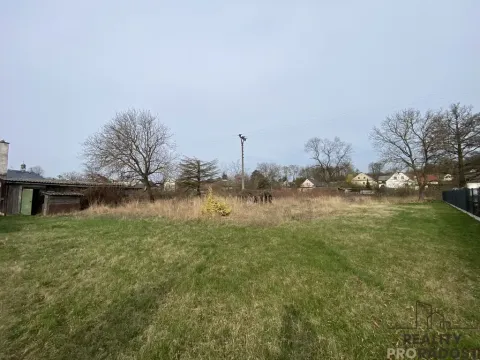 Prodej pozemku pro bydlení, Dlouhá Loučka, 2651 m2