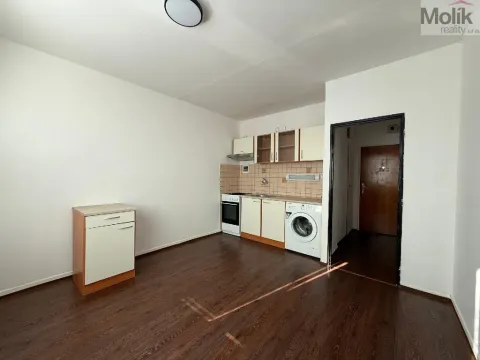 Pronájem bytu 1+1, Litvínov - Horní Litvínov, Mostecká, 35 m2