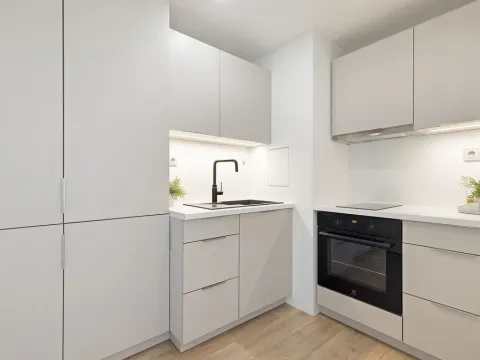Prodej bytu 1+1, Ostrava - Moravská Ostrava, Nádražní, 30 m2