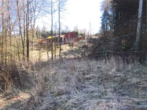 Prodej lesa, Hora Svaté Kateřiny, 839 m2