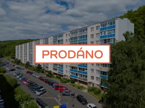 Prodej bytu 4+1, Litvínov - Janov, Luční, 90 m2