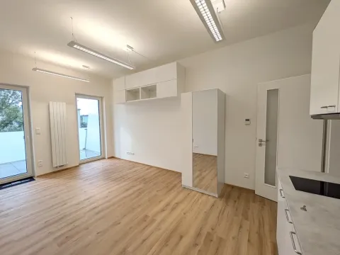 Pronájem bytu 1+kk, Brno, Komárovská, 29 m2