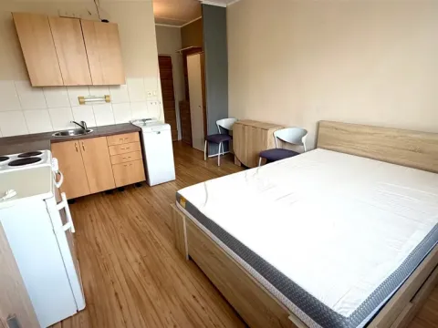 Pronájem bytu 1+kk, Cheb, Do Zátiší, 20 m2