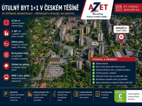 Prodej bytu 1+1, Český Těšín, Okružní, 41 m2