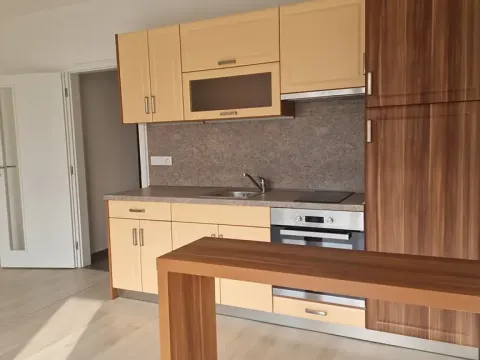 Pronájem bytu 1+kk, Plzeň, Sladová, 42 m2