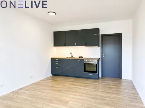 Pronájem bytu 1+kk, Zbůch, 29 m2