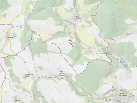 Dražba lesa, Bělá u Jevíčka, 198 m2
