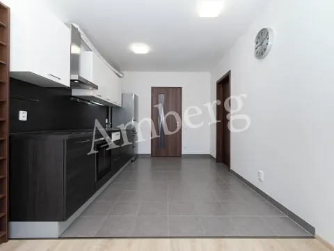 Prodej bytu 2+kk, Praha - Žižkov, Na Vackově, 53 m2