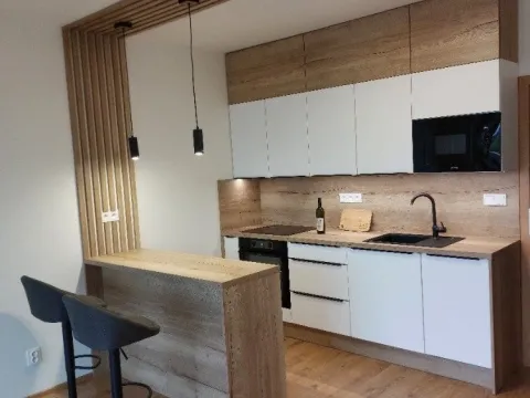 Pronájem bytu 1+kk, Opava, Císařského pluku, 41 m2