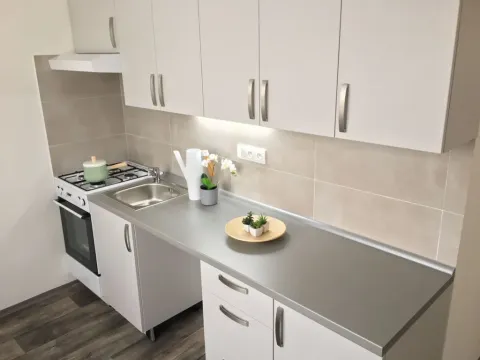 Pronájem bytu 2+1, Ostrava - Hrabůvka, Závodní, 52 m2