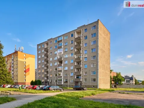 Prodej bytu 1+1, Ostrov, Družební, 41 m2