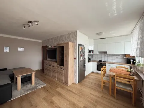 Pronájem bytu 3+kk, Praha - Krč, Horáčkova, 69 m2