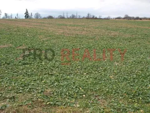 Prodej pozemku pro bydlení, Velké Albrechtice, 1041 m2