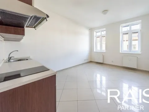 Pronájem bytu 1+kk, Brno - Husovice, Svitavská, 30 m2