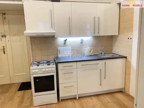 Pronájem bytu 2+1, Praha - Žižkov, Biskupcova, 55 m2