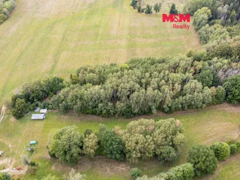 Prodej lesa, Rodná, 715 m2