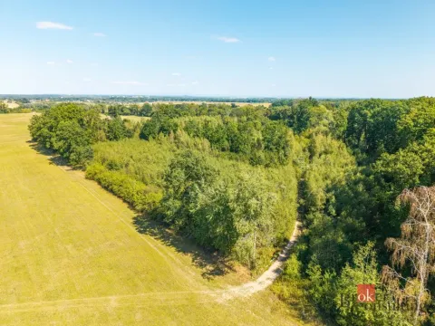 Prodej lesa, Pardubice - Pardubice-Staré Město, 37347 m2