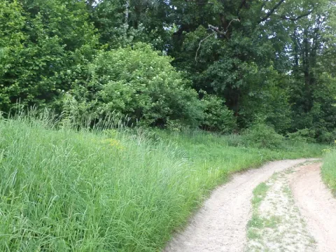 Prodej pozemku, Pohledy - Horní Hynčina, 1135 m2