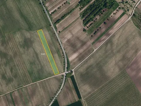 Prodej sadu/vinice, Kobylí, 17433 m2