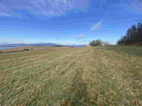 Dražba louky, Černá v Pošumaví, 2972 m2