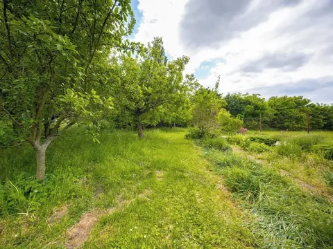 Pronájem zahrady, Brno, Terezy Novákové, 508 m2