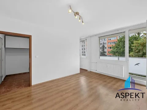 Pronájem bytu 1+kk, Praha - Podolí, Kaplická, 27 m2