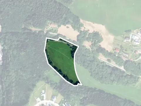 Prodej louky, Trutnov, Dolnoměstská, 18213 m2