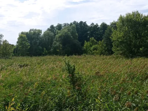 Prodej pozemku, Brod nad Dyjí, 6724 m2