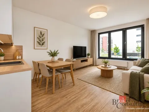 Pronájem bytu 1+kk, Plzeň - Jižní Předměstí, Železná, 30 m2