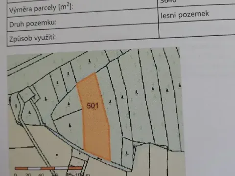 Prodej lesa, Čermná, 11600 m2