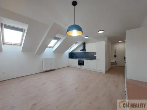 Pronájem bytu 1+kk, Olomouc - Hodolany, Holická, 38 m2