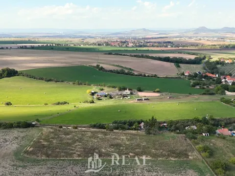Prodej pozemku pro bydlení, Brloh, 1196 m2