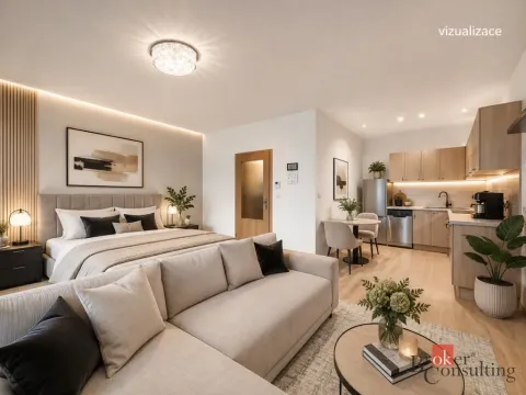 Prodej bytu 1+kk, Brno - Líšeň, Holzova, 40 m2