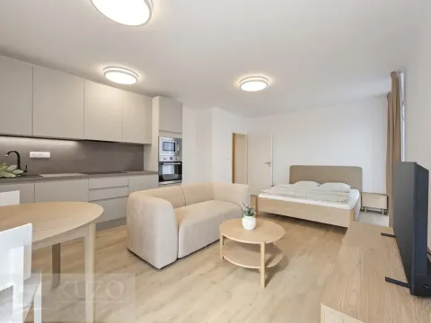 Pronájem bytu 1+kk, Brno, Auerswaldova, 38 m2