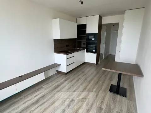 Pronájem bytu 1+kk, Praha - Chodov, Čenětická, 23 m2