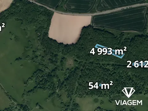 Prodej lesa, Kravaře, 7896 m2