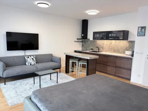 Pronájem bytu 1+kk, Praha - Žižkov, Krásova, 45 m2