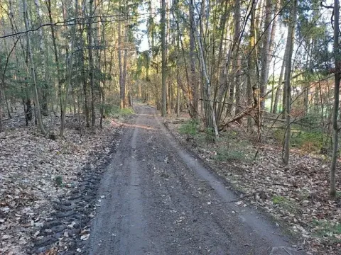 Prodej pozemku, Probulov, 3017 m2
